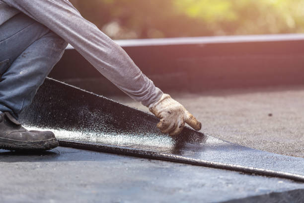 Professional Interior Drainage System technician working in Roundhead, OH